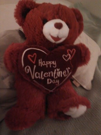 Happy Valentine’s Day. The awesomely huge teddy bear is from Johnny. Phot by Natalie McCabe.