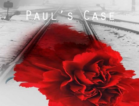 Pauls-Case-Carnation-Crop