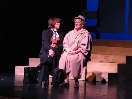 Mary-Anne Sullivan and Gayle Nichols Grimes. Photo courtesy of Reston Community Players.