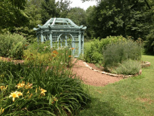 The Roger Tory Peterson Butterfly Garden dedicated to Airlie by his wife Virginia Peterson. Photo by Jordan Wright.