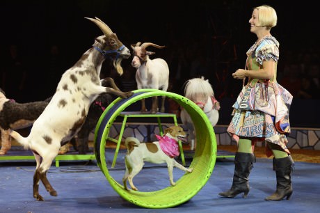 Jenny Vidbel. Photo courtesy of Big Apple Circus.