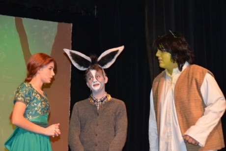 Princess Fiona (Shannon Flack), Donkey (Brendan DeBie), and Shrek (Christian Fernandez). (Shrek), Photo by Sean Flack.