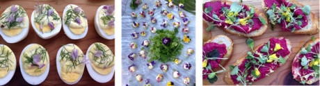 Deconstructed Deviled Eggs – Fleur de Chèvre covered in edible flowers – Beetroot Crostini with flowers and microgreens.