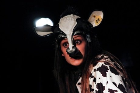Katie Jeffries (Caroline the Cow). Photo by Curtis Jordan.