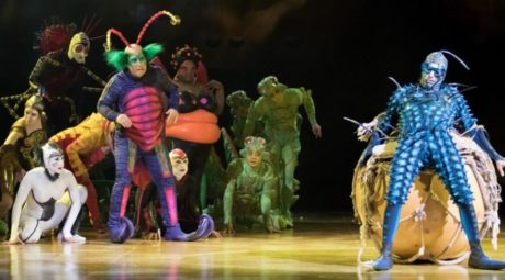 Members of the ensemble in 'OVO.' Photo courtesy of Cirque du Soleil. 