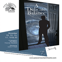 a-delicate-balance-200x200
