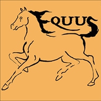 Equus Artwork, courtesy of The Forge Theatre.