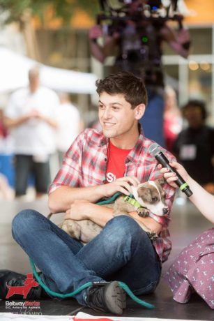 Actor Matt Hirsh introducing an adoptable dog at last year's Beltway Barks. 
