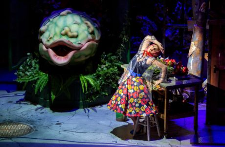 Little Shop of Horrors plays through October 12, 2018, at the Clarice Smith Performing Arts Center. Photo by Stephanie S. Cordle/University of Maryland.