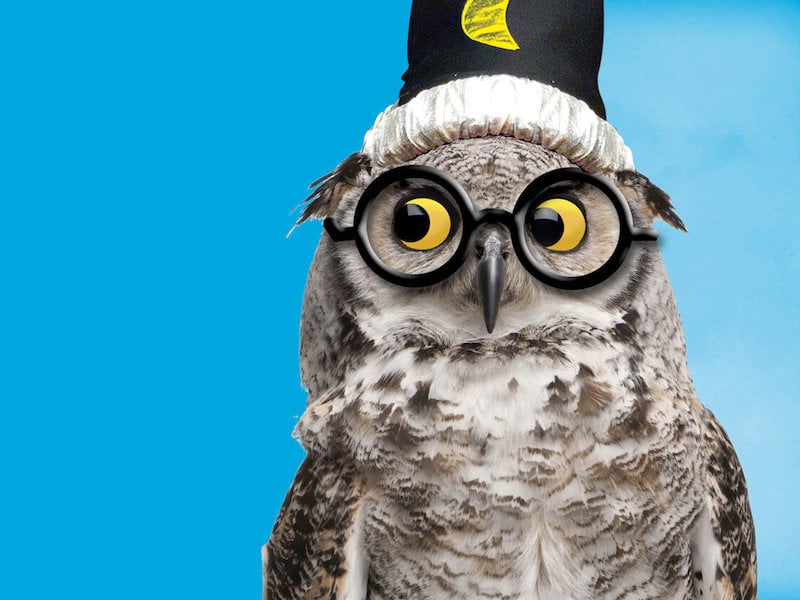 The magic of 'Potted Potter' returns to Shakespeare Theatre Company this summer DC Theater Arts