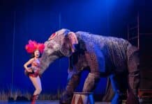 Big Top aerial acts lift ‘Water for Elephants’ on tour at the National