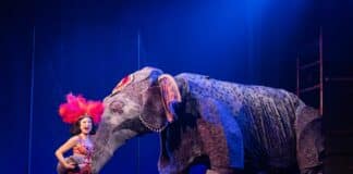 Big Top aerial acts lift ‘Water for Elephants’ on tour at the National