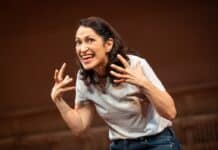 ‘A Good Day to Me Not to You’ at Arena is overstuffed yet eminently satisfying