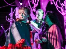 Timeless ‘Into the Woods’ casts its spell at Maryland Ensemble Theatre