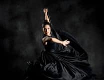 GALA to present 22nd annual Fuego Flamenco Festival November 5-22